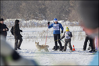 12 февраль 2017 г., г.Барнаул   Жарко и весело: как прошла "Лыжня России – 2017" в Барнауле