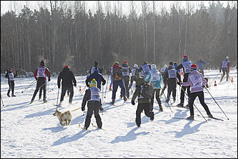 12 февраль 2017 г., г.Барнаул   Жарко и весело: как прошла "Лыжня России – 2017" в Барнауле