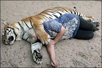 21 января 2016 г., Барнаул   Нежные звери, или Как обнимаются животные 