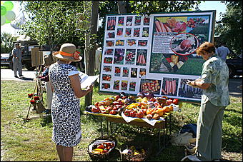 21 августа 2010 г., Барнаул   Село Лебяжье Барнаула отмечает 140-летие