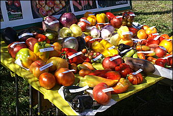 21 августа 2010 г., Барнаул   Село Лебяжье Барнаула отмечает 140-летие