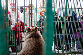 1 декабрь 2016 г., Барнаул © Амител Вячеслав Мельников   Похождения Деда Мороза из Великого Устюга в Барнауле. Фото