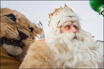 1 декабрь 2016 г., Барнаул © Амител Вячеслав Мельников   Похождения Деда Мороза из Великого Устюга в Барнауле. Фото