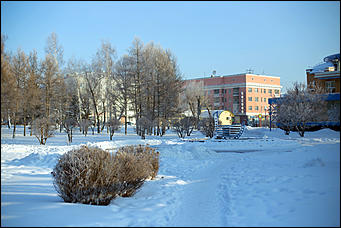 20 ноября 2018 г., Барнаул. Екатерина Смолихина   Волшебство на кончиках веток: принакрытый снегом Барнаул