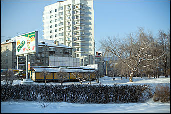 20 ноября 2018 г., Барнаул. Екатерина Смолихина   Волшебство на кончиках веток: принакрытый снегом Барнаул