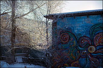 20 ноября 2018 г., Барнаул. Екатерина Смолихина   Волшебство на кончиках веток: принакрытый снегом Барнаул