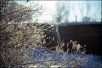 20 ноября 2018 г., Барнаул. Екатерина Смолихина   Волшебство на кончиках веток: принакрытый снегом Барнаул