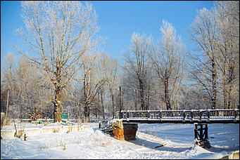 20 ноября 2018 г., Барнаул. Екатерина Смолихина   Волшебство на кончиках веток: принакрытый снегом Барнаул