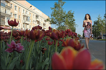 13 май 2020 г., Барнаул   "Это май-чародей". Как цветет Барнаул