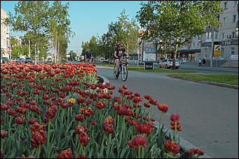 13 май 2020 г., Барнаул   "Это май-чародей". Как цветет Барнаул