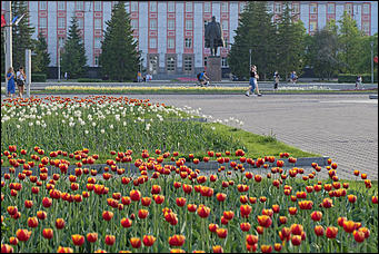 13 май 2020 г., Барнаул   "Это май-чародей". Как цветет Барнаул