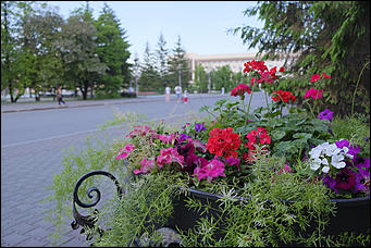 13 май 2020 г., Барнаул   "Это май-чародей". Как цветет Барнаул