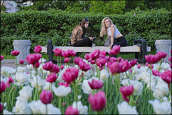 13 май 2020 г., Барнаул   "Это май-чародей". Как цветет Барнаул