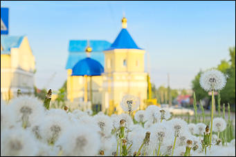 13 май 2020 г., Барнаул   "Это май-чародей". Как цветет Барнаул