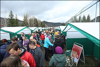 29 апреля 2018 г., Бирюзовая Катунь. Екатерина Смолихина   Праздника цветение: как маральник собрал на Алтае тысячи туристов