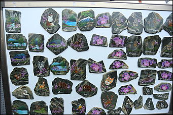 29 апреля 2018 г., Бирюзовая Катунь. Екатерина Смолихина   Праздника цветение: как маральник собрал на Алтае тысячи туристов