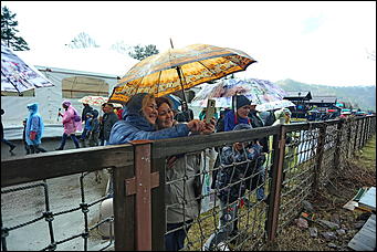 29 апреля 2018 г., Бирюзовая Катунь. Екатерина Смолихина   Праздника цветение: как маральник собрал на Алтае тысячи туристов