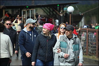 29 апреля 2018 г., Бирюзовая Катунь. Екатерина Смолихина   Праздника цветение: как маральник собрал на Алтае тысячи туристов