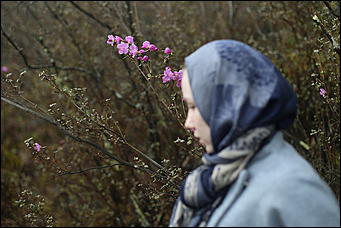 29 апреля 2018 г., Бирюзовая Катунь. Екатерина Смолихина   Праздника цветение: как маральник собрал на Алтае тысячи туристов