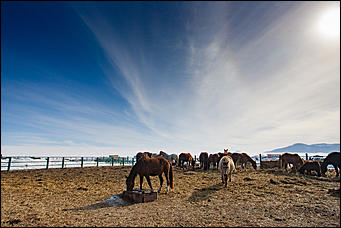 27 февраль 2017 г., Барнаул © Амител Вячеслав Мельников   Как проходил фестиваль "Сибирская Масленица – 2017" 