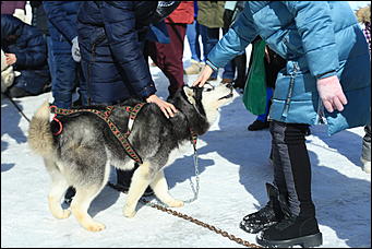 14 марта 2021 г., Барнаул   Масленица - 2021 в Барнауле