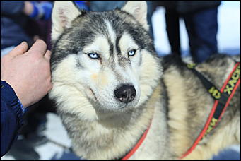 14 марта 2021 г., Барнаул   Масленица - 2021 в Барнауле