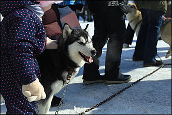 14 марта 2021 г., Барнаул   Масленица - 2021 в Барнауле
