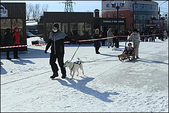 14 марта 2021 г., Барнаул   Масленица - 2021 в Барнауле