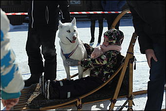 14 марта 2021 г., Барнаул   Масленица - 2021 в Барнауле