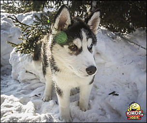    Масленица "Блин, комON!" 