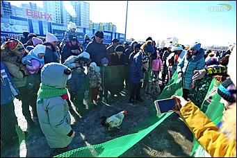 10 марта 2019 г., Барнаул. Екатерина Смолихина   Забег петухов, метание блинов и сжигание чучела: масленичные гулянья в Барнауле