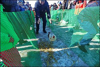 10 марта 2019 г., Барнаул. Екатерина Смолихина   Забег петухов, метание блинов и сжигание чучела: масленичные гулянья в Барнауле