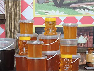 14.08.2019   "Медовый Спас на Алтае": как в Барнауле выбирали самый вкусный мед