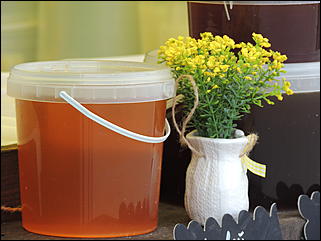 14.08.2019   "Медовый Спас на Алтае": как в Барнауле выбирали самый вкусный мед