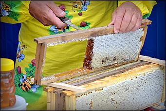 14 август 2013 г., Барнаул   Ярмарка "Медовый Спас на Алтае"