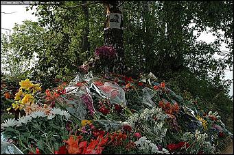    Фотографии Михаила Евдокимова