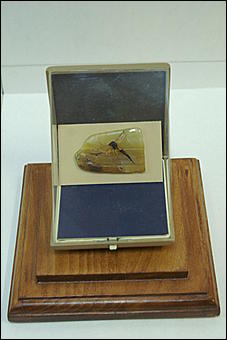 8 февраля, Барнаул   «Чудеса под микроскопом» в Барнауле