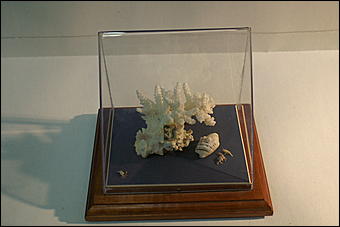 8 февраля, Барнаул   «Чудеса под микроскопом» в Барнауле