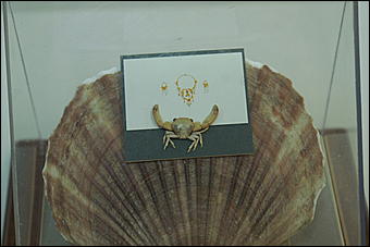 8 февраля, Барнаул   «Чудеса под микроскопом» в Барнауле