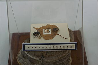 8 февраля, Барнаул   «Чудеса под микроскопом» в Барнауле