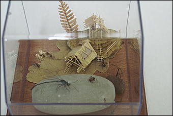 8 февраля, Барнаул   «Чудеса под микроскопом» в Барнауле