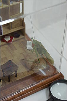 8 февраля, Барнаул   «Чудеса под микроскопом» в Барнауле