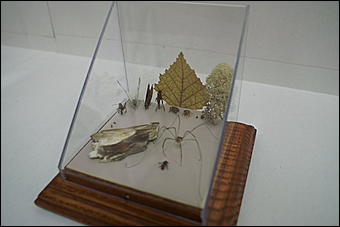 8 февраля, Барнаул   «Чудеса под микроскопом» в Барнауле