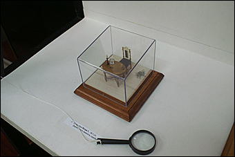 8 февраля, Барнаул   «Чудеса под микроскопом» в Барнауле