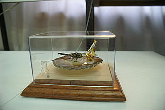 8 февраля, Барнаул   «Чудеса под микроскопом» в Барнауле