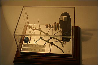 8 февраля, Барнаул   «Чудеса под микроскопом» в Барнауле