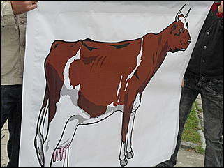 24 сентября 2009 г., Барнаул   "Молочный" митинг в Барнауле