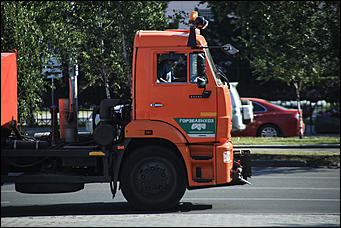 28 августа 2017 г., Барнаул. Екатерина Смолихина   Сохраним "легкие" города: митинг против вырубки деревьев прошел в Барнауле