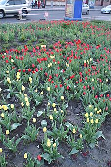 15-16 мая 2010 г., Барнаул   Барнаульская "Музейная ночь-2010"