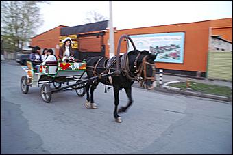 15-16 мая 2010 г., Барнаул   Барнаульская "Музейная ночь-2010"